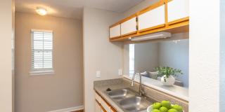 Prosper Jackson Prosper Jackson Gallery 4