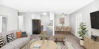 Renew Aster Gallery 4