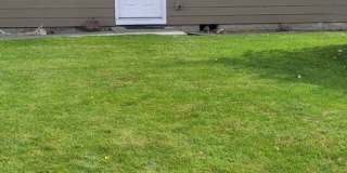 Cozy home on large lot w/fenced backyard Gallery 1