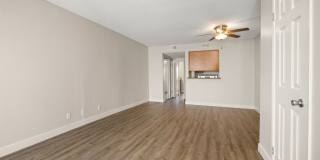 Chatsworth Plaza Gallery 11