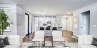 Del Ray Central Gallery 2