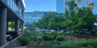 Charming 1BR Condo in Denver Gallery 38