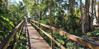 2746 ORCHID OAKS DRIVE Gallery 62