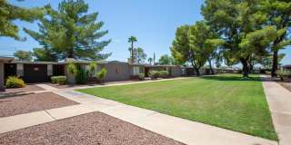 Icon on Stella Gallery 23