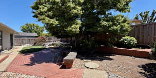 832 Cathedral Dr, Sunnyvale 832 Cathedral Dr, Sunnyvale Gallery 20