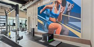 Arcadia Luxury Apartments Gallery 11