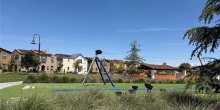 16458 Globetrotter Gallery 42