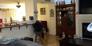 1835 Elk Springs St Gallery 5