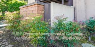 2229 Woodside Lane Gallery 25