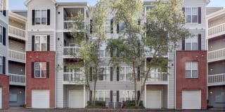 Ashford Meadows Apartments Gallery 11