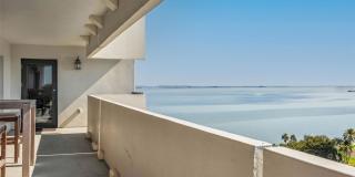 4141 Bayshore Blvd Apt 1204 Gallery 8