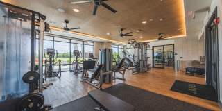 Artea at Southbank Gallery 42