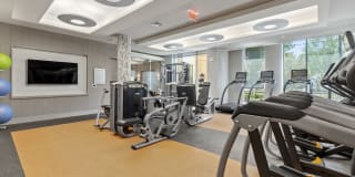 Gables Arsenal Street Gallery 19