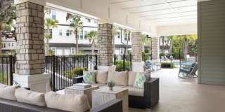Canopy at Citrus Park Gallery 15