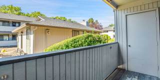 Mountain View Terrace Gallery 38