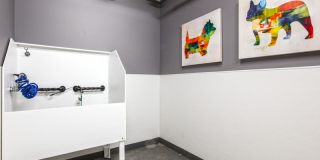 Zig Apartments Gallery 39