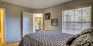 Canyon Grove Gallery 8