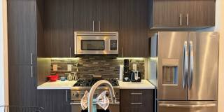 Furnished 3-BR/3-BA Townhouse w/ Giant Roof deck, 2-Car Garage, EV Hookup Gallery 14