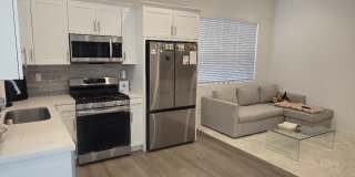 2456 E Encanto Paseo Gallery 4