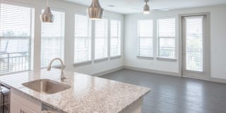 Magnolia at West Lemmon Gallery 31