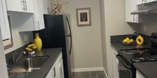 The Alexandar Gallery 3