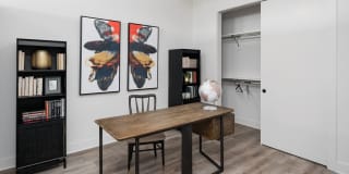 Avalon Hawk Gallery 10
