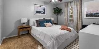 River Oaks Gallery 5