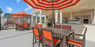 Buena Vista Gallery 49