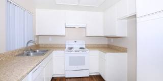 Club Pacifica Gallery 64