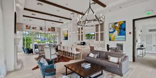 Town Treeline Gallery 17