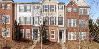 22660 AMBERJACK Square Gallery 1