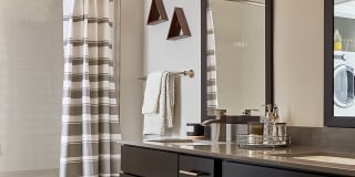 Evolution at Towne Centre Gallery 37