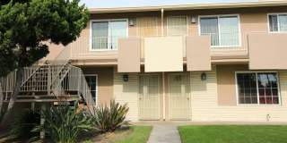 Newland Garden Gallery 6