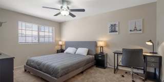 8216 Diamond Star Court Gallery 19