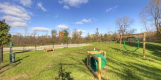 Owl Creek Gallery 16