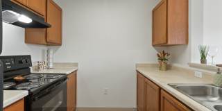 River View Collection Gallery 35