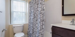 Harvard Village Gallery 41