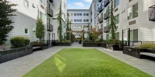 The Artiste Apartment Homes Gallery 21