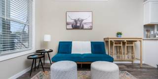 Casata Austin Gallery 25