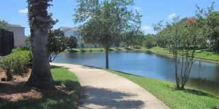 8215 GREEN PARROT Road Gallery 28
