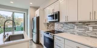 New Construction! Spacious Modern Townhome in Edmonds. New Construction! Spacious Modern Townhome in Edmonds. Gallery 3