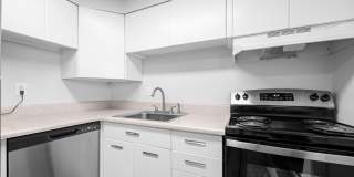 South Majestic Gallery 45