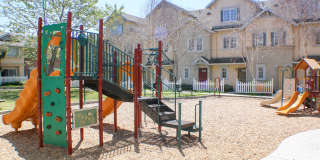 Parke Orcutt Gallery 2