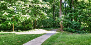 2 Consulate Drive Gallery 22
