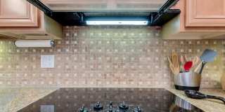 28573 N 128TH Drive Gallery 11