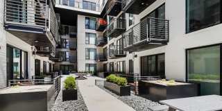 The Olive The Olive Gallery 5