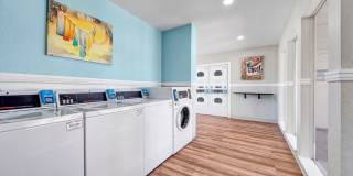 The Fairway Gallery 15