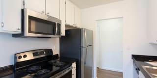 Volterra at La Mesa Gallery 29