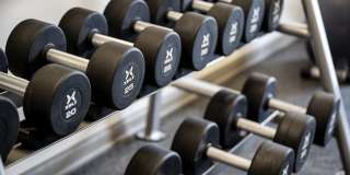 The Fairlane Gallery 19