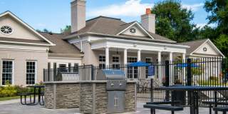 Alvista Bowie Gallery 17